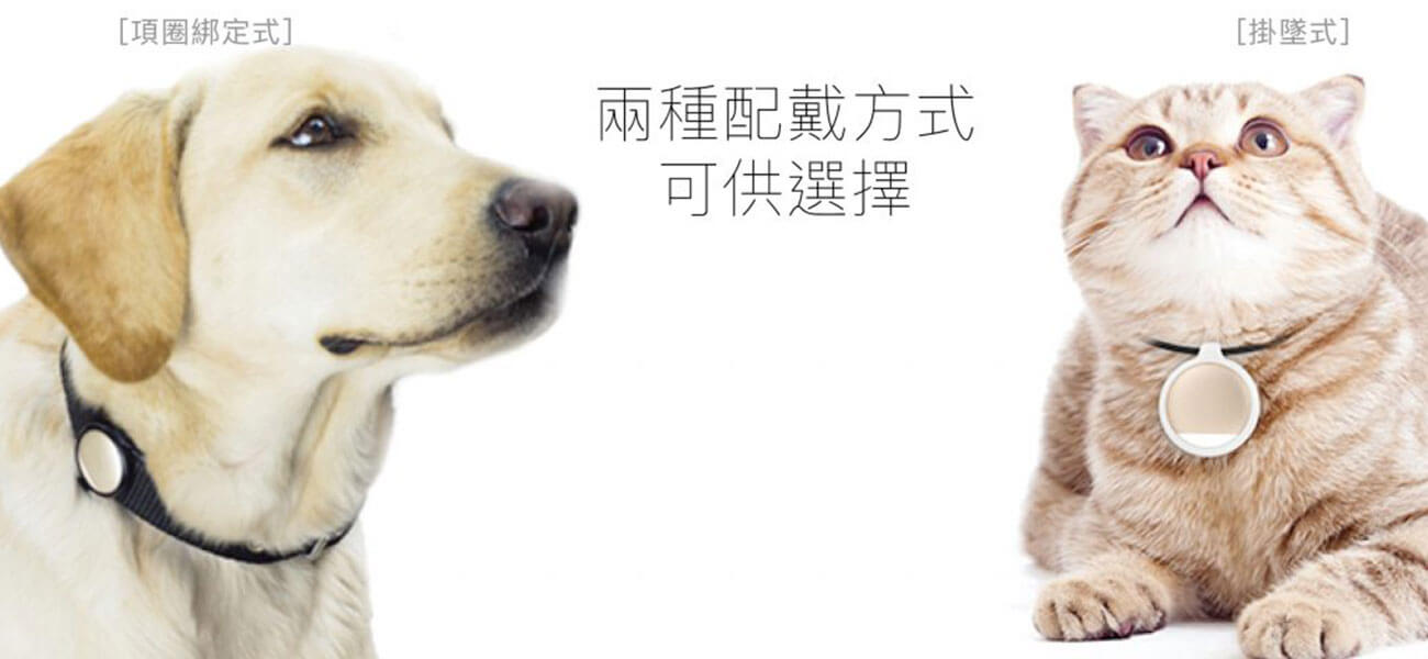 Petkit FIT P2 Pet Activity Monitor - Two Way