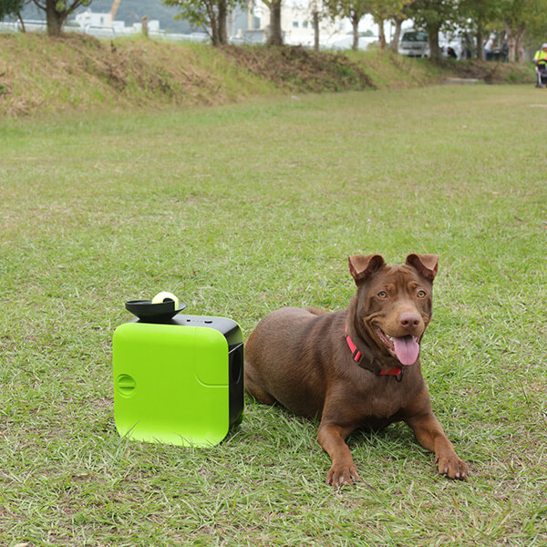 Dot Pet Launcher