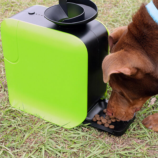 Dot Pet Launcher