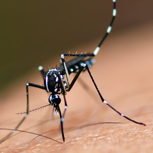 Spain Radarcan Personal Mosquito Repeller Plus R-100 - Chikungunya, dengue, Zika mosquito & Aedes aegypti