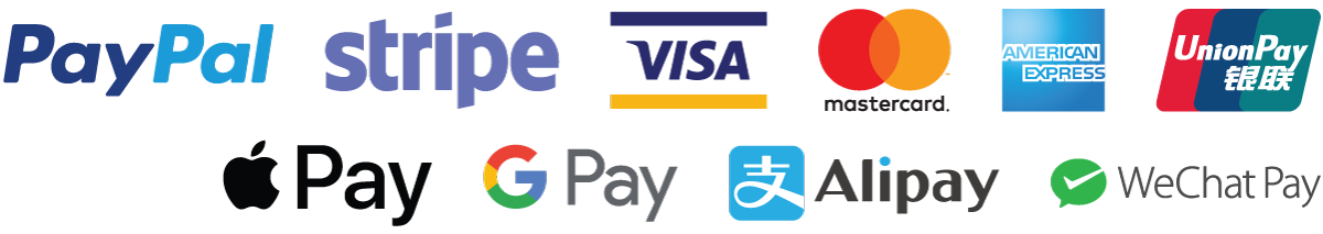 Master Visa AE Union Pay Apple Pay Google Pay Alipay Wechat Pay