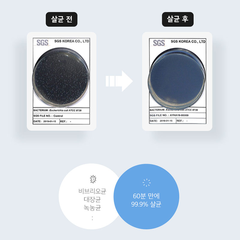 JJOBI Friends Pet UV LED Sterilizer (Made in Korea)