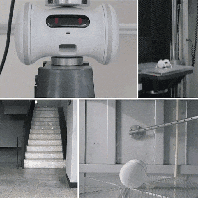 Varram Pet Fitness Robot (VARRAM 寵物健身智能機械人)