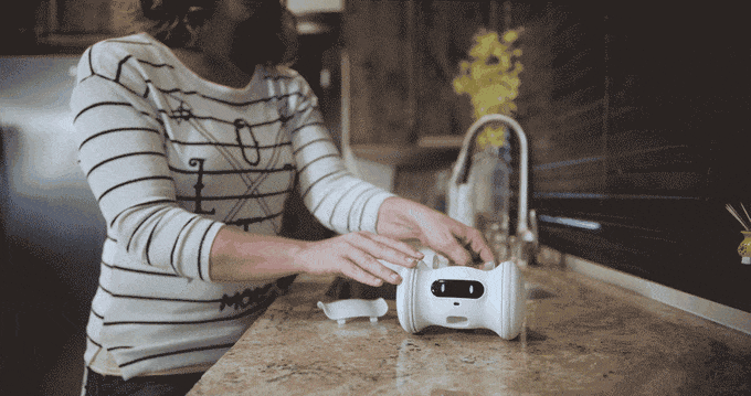 Varram Pet Fitness Robot (VARRAM 寵物健身智能機械人)
