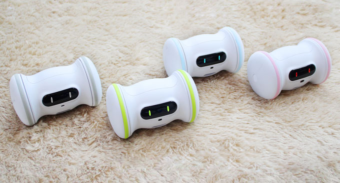 Varram Pet Fitness Robot (VARRAM 寵物健身智能機械人)
