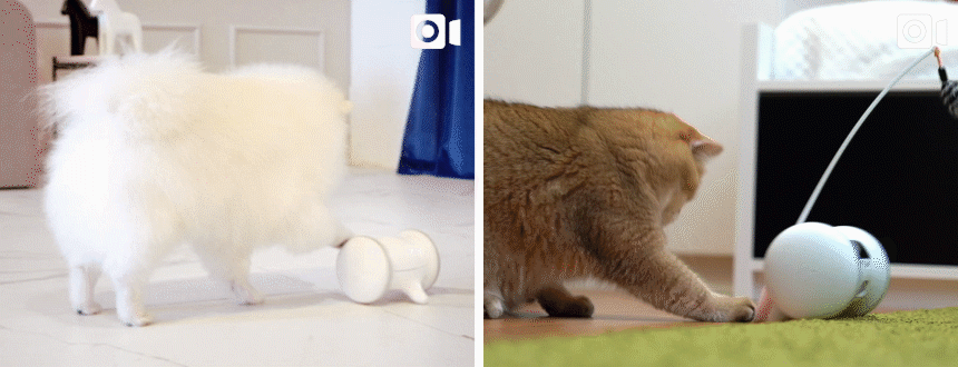 Varram Pet Fitness Robot (VARRAM 寵物健身智能機械人)